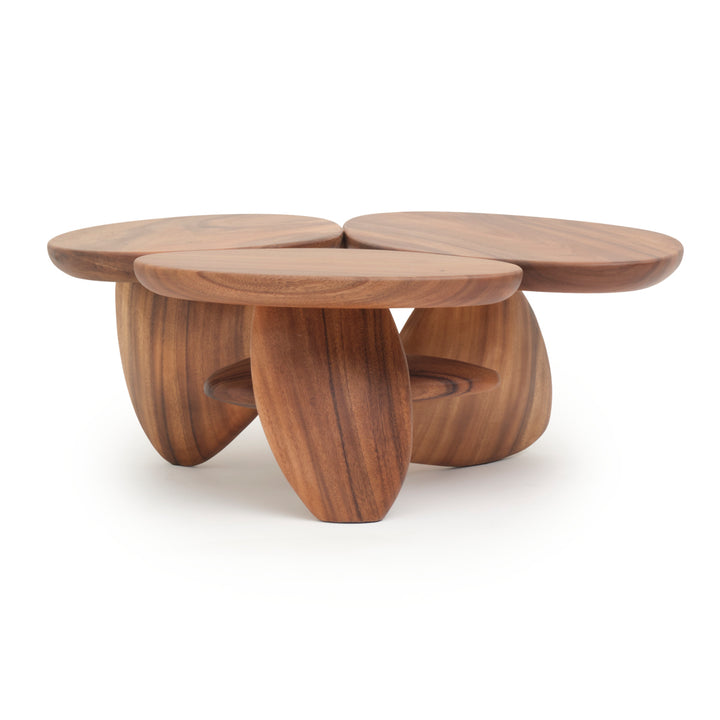 Suri Wood Coffee Table Light Brown