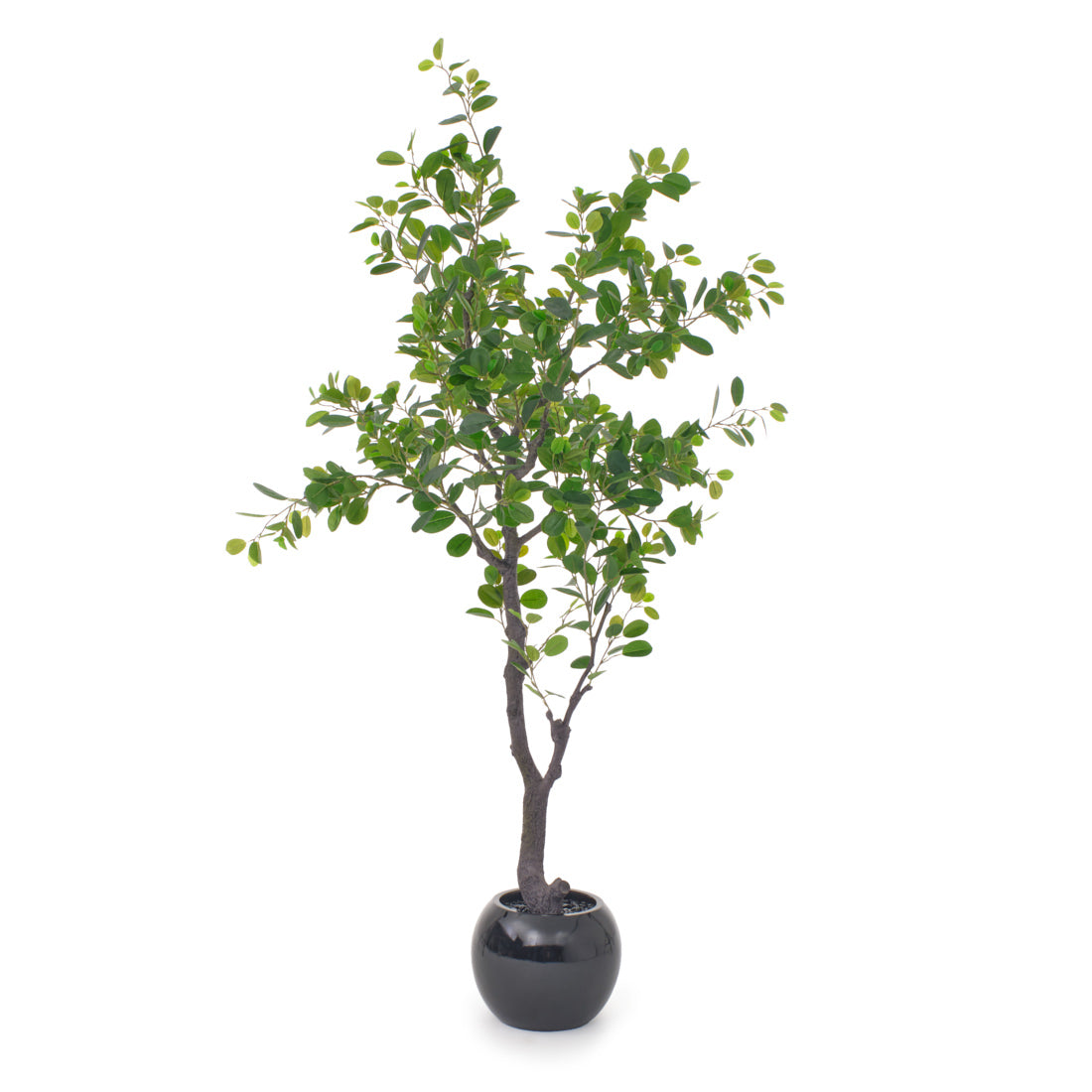 Eva Ficus Artificial Plant Dark Green