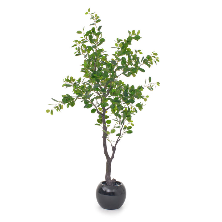 Eva Ficus Artificial Plant Dark Green