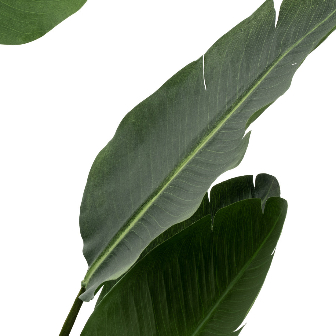 Saika Artificial Plant Dark Green