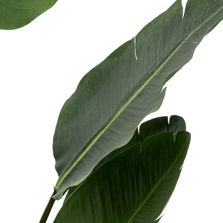 Saika Artificial Plant Dark Green