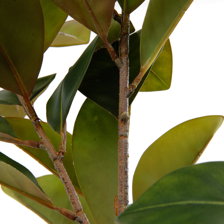 Magnolia Tree Artificial Plant Dark Green