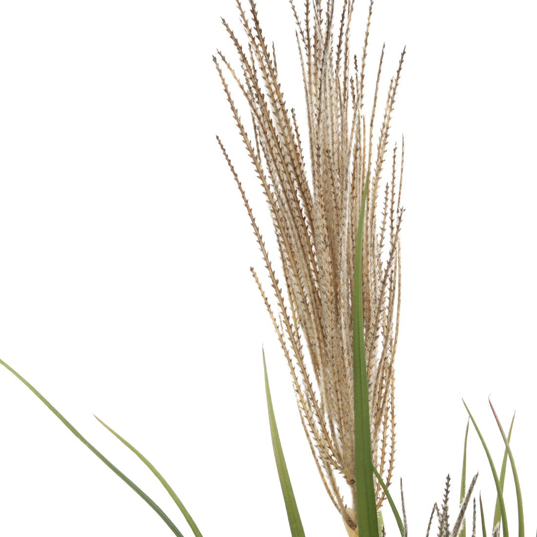 Pampas Grass Artificial Plant Dark Green