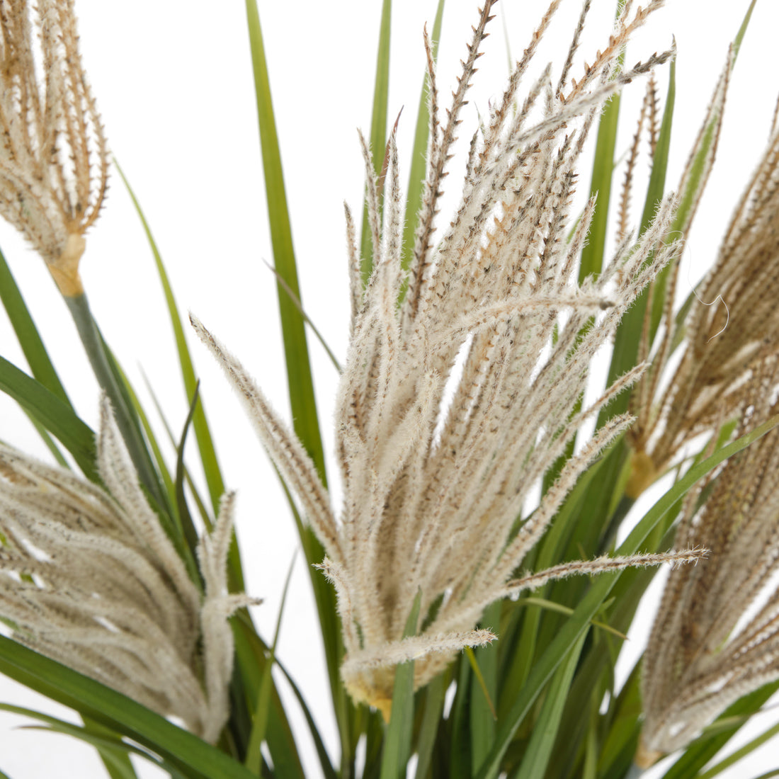 Pampas Grass Artificial Plant Dark Green