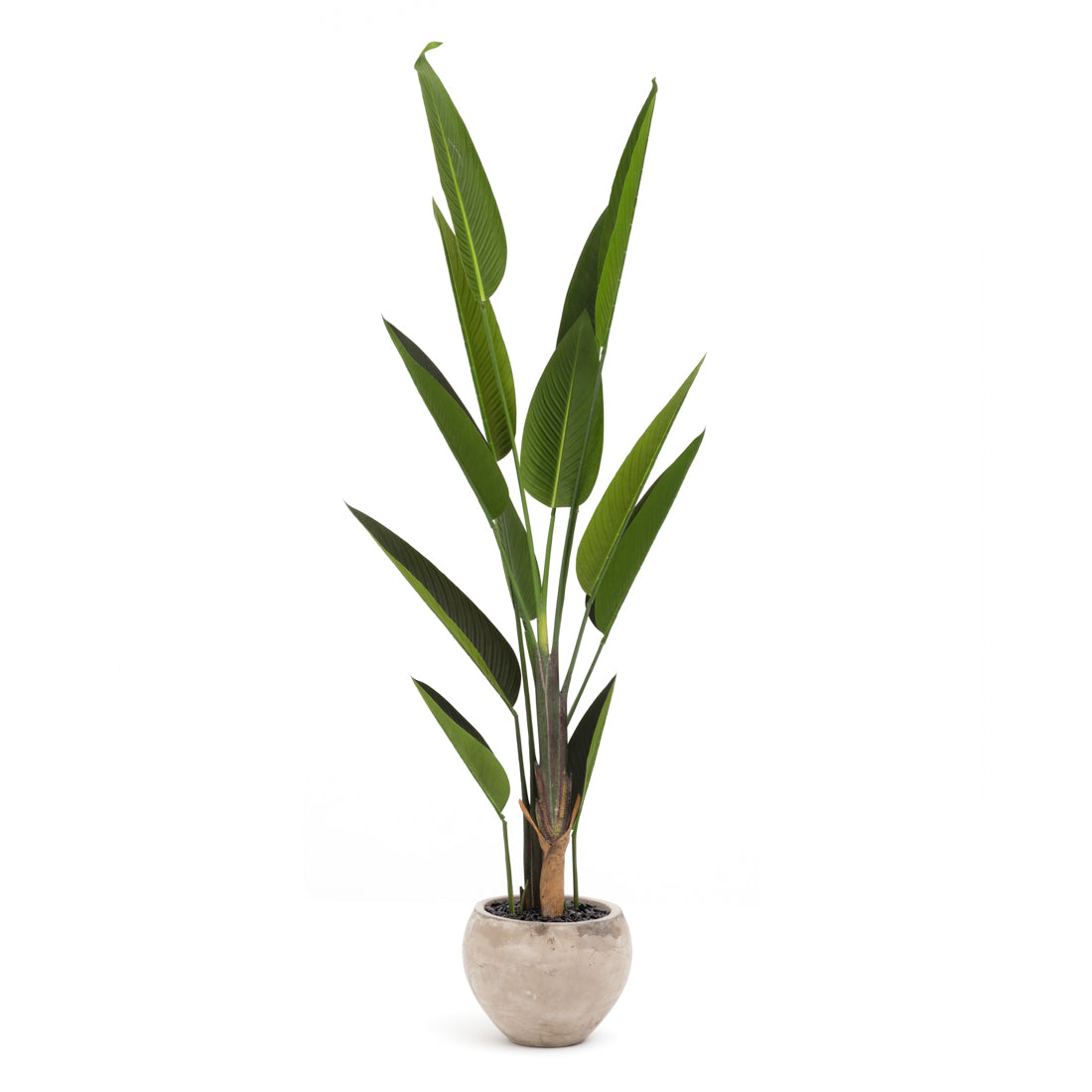 Tropical Bird Artificial Plant Dark Green