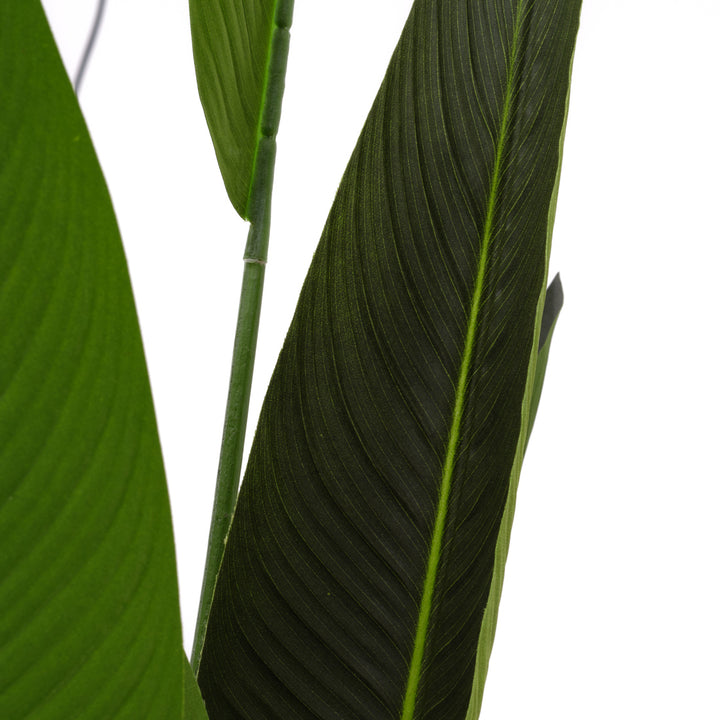 Tropical Bird Artificial Plant Dark Green