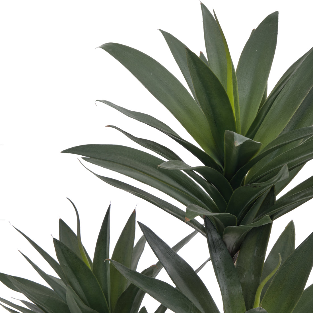 Yucca Artificial Plant Dark Green