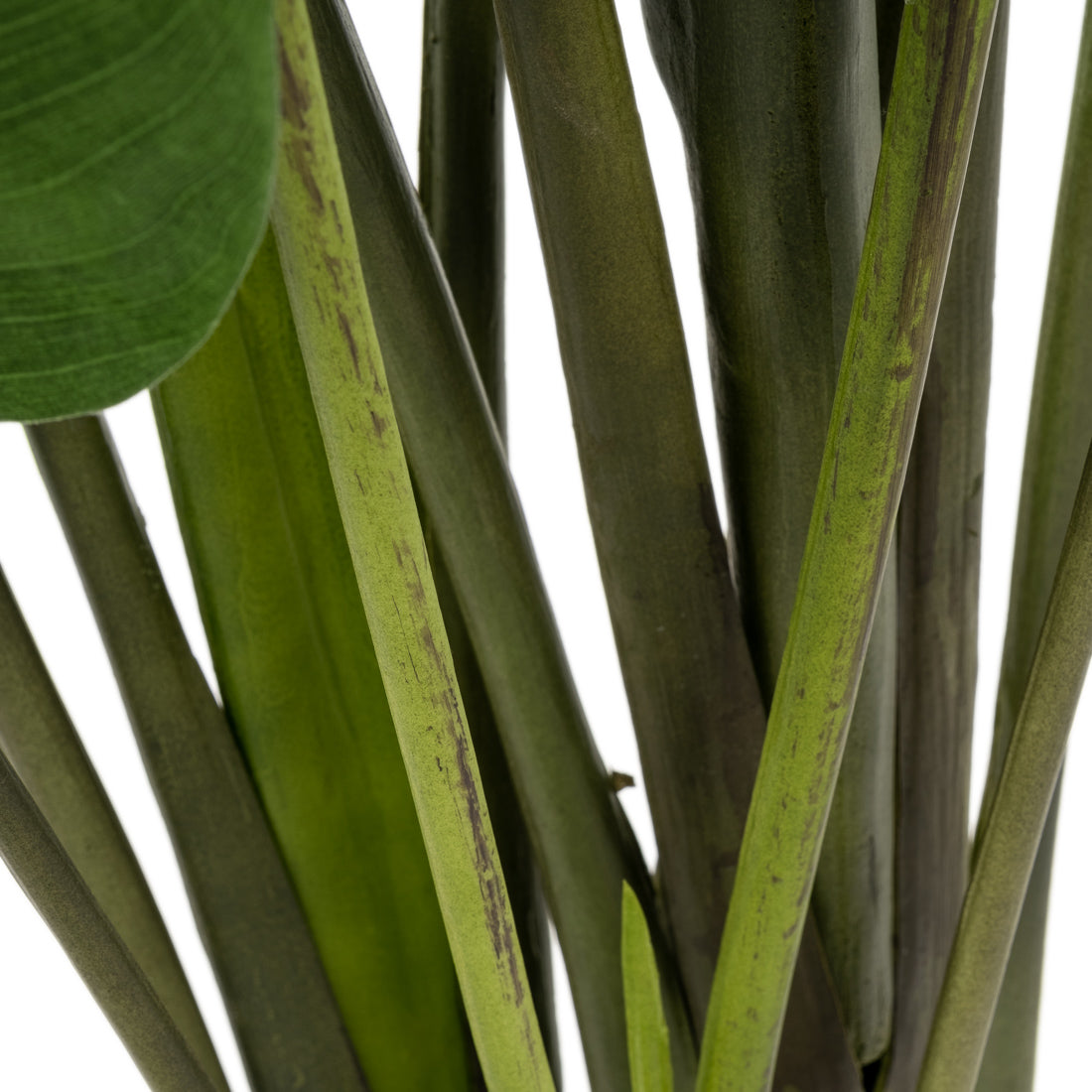 Saika Artificial Plant Dark Green
