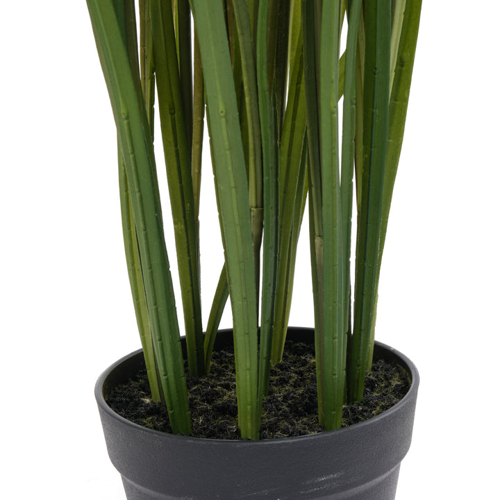 Pampas Grass Artificial Plant Dark Green