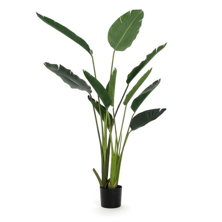 Saika Artificial Plant Dark Green