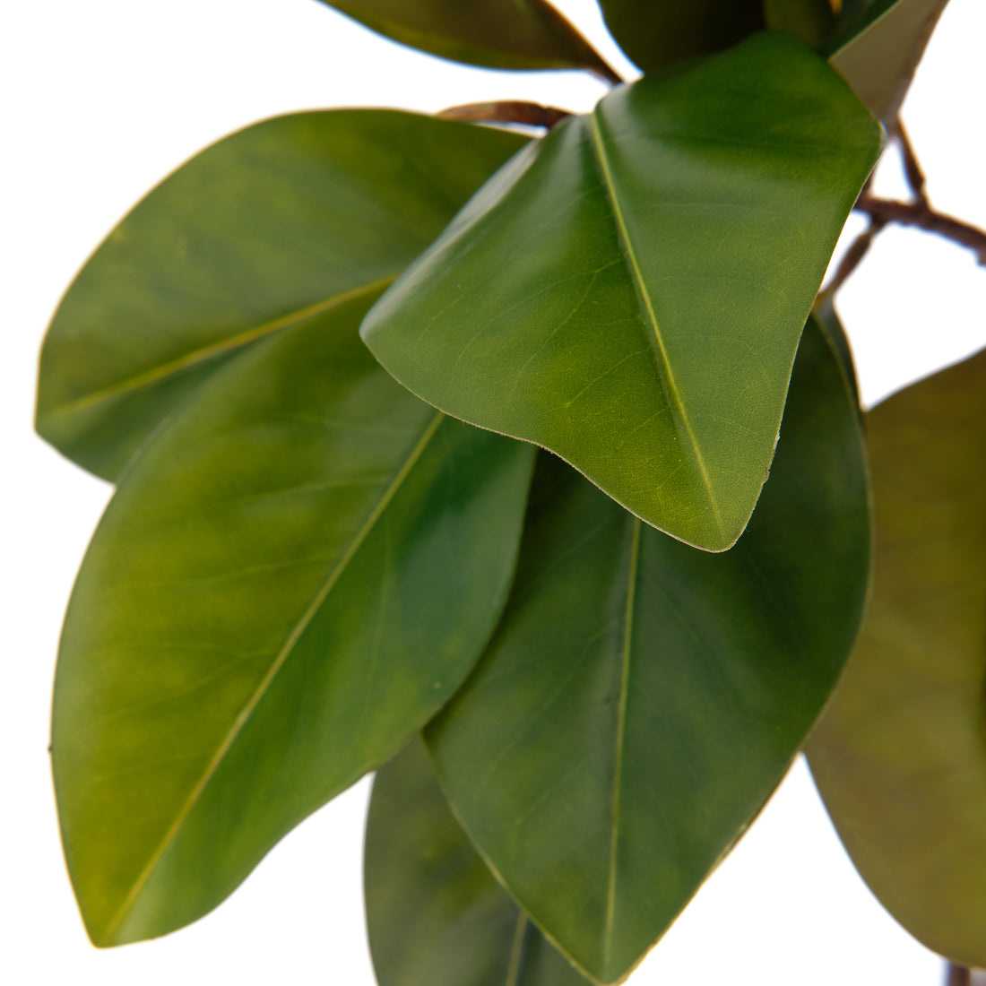 Magnolia Tree Artificial Plant Dark Green