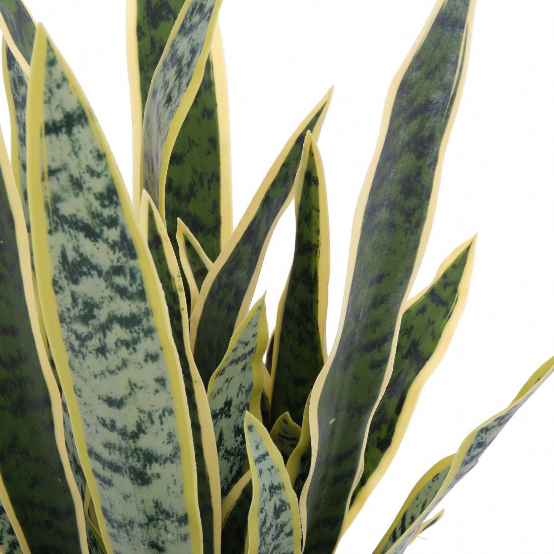 Sansevieria Artificial Plant Dark Green
