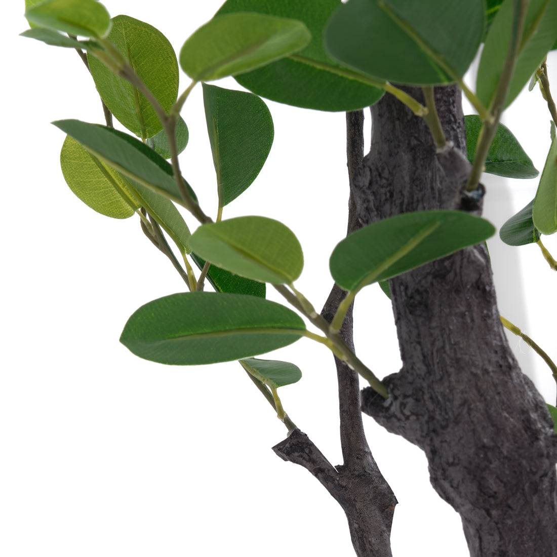 Eva Ficus Artificial Plant Dark Green