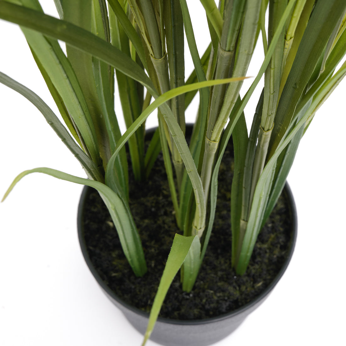 Pampas Grass Artificial Plant Dark Green