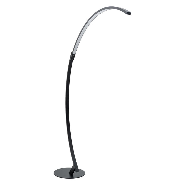Wasol Floor Lamp Black