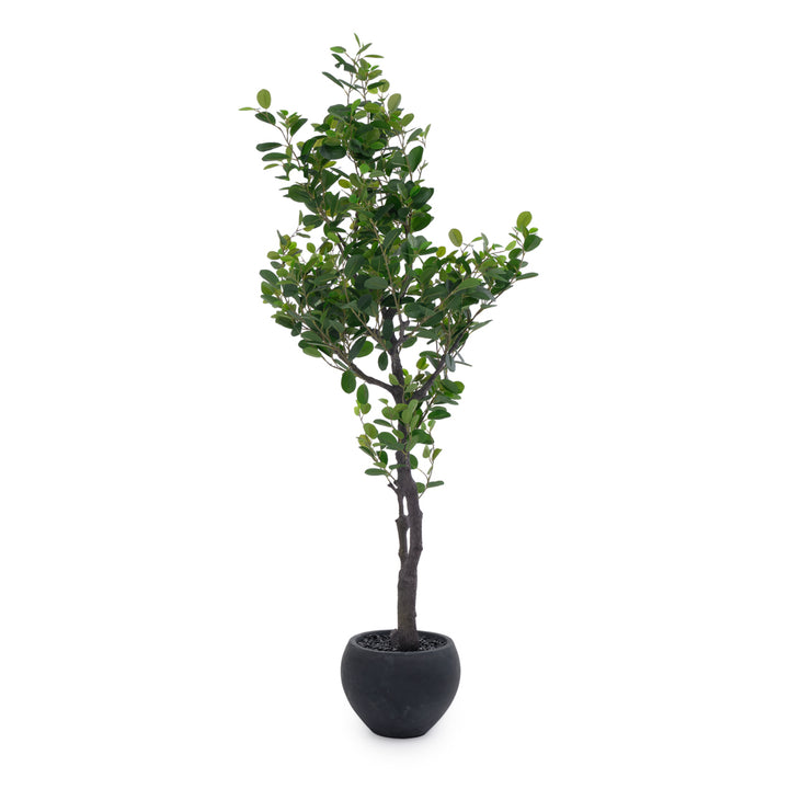 Eva Ficus Artificial Plant Dark Green