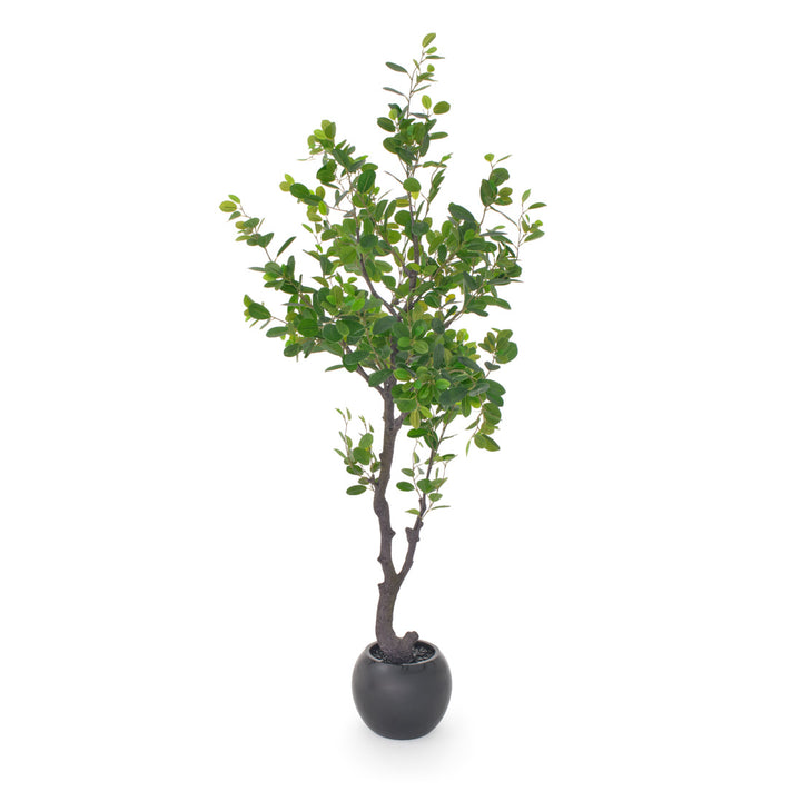 Eva Ficus Artificial Plant Dark Green