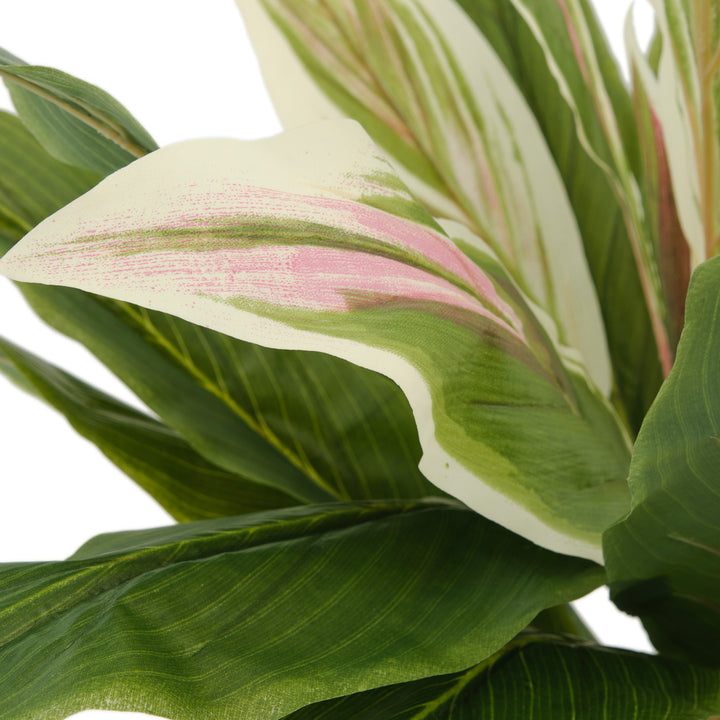 Cordiline Artificial Plant Dark Green