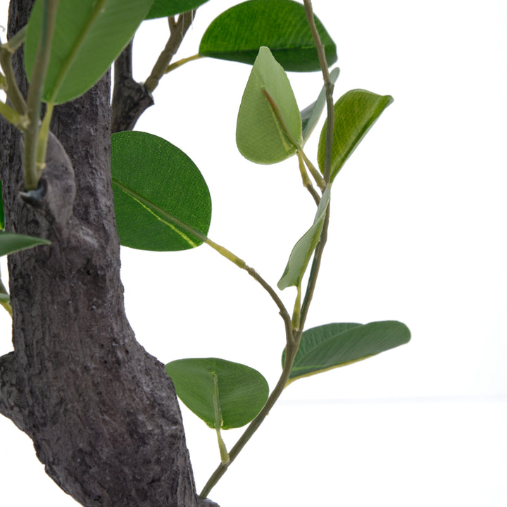 Eva Ficus Artificial Plant Dark Green