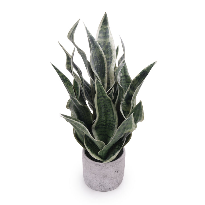Sansevieria Artificial Plant Dark Green