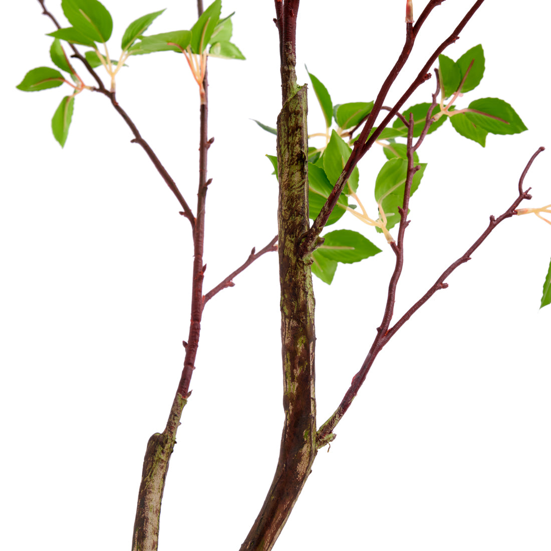 Cornus Artificial Plant Dark Green
