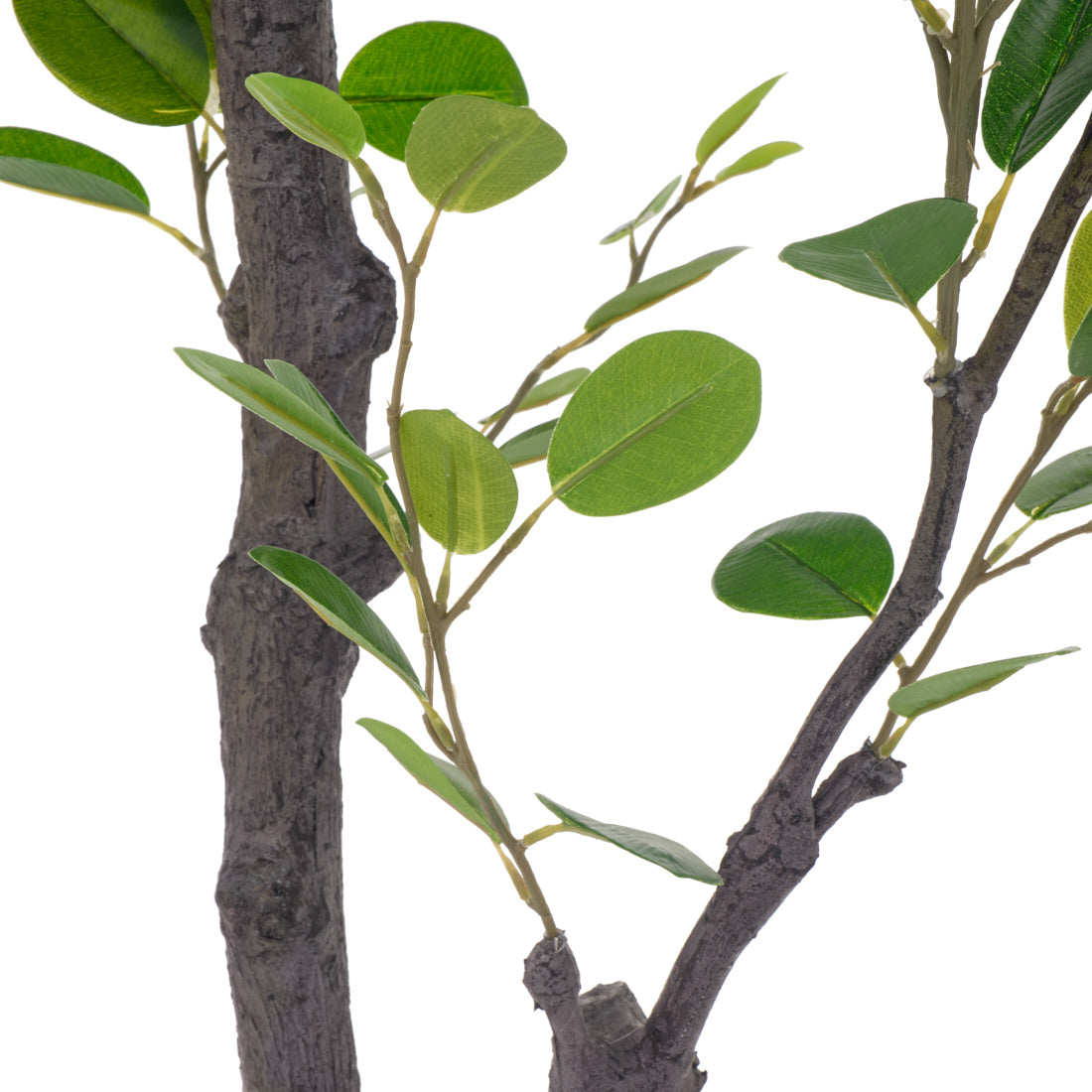 Eva Ficus Artificial Plant Dark Green