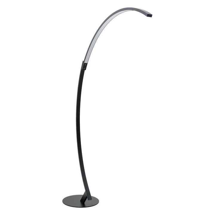 Wasol Floor Lamp Black