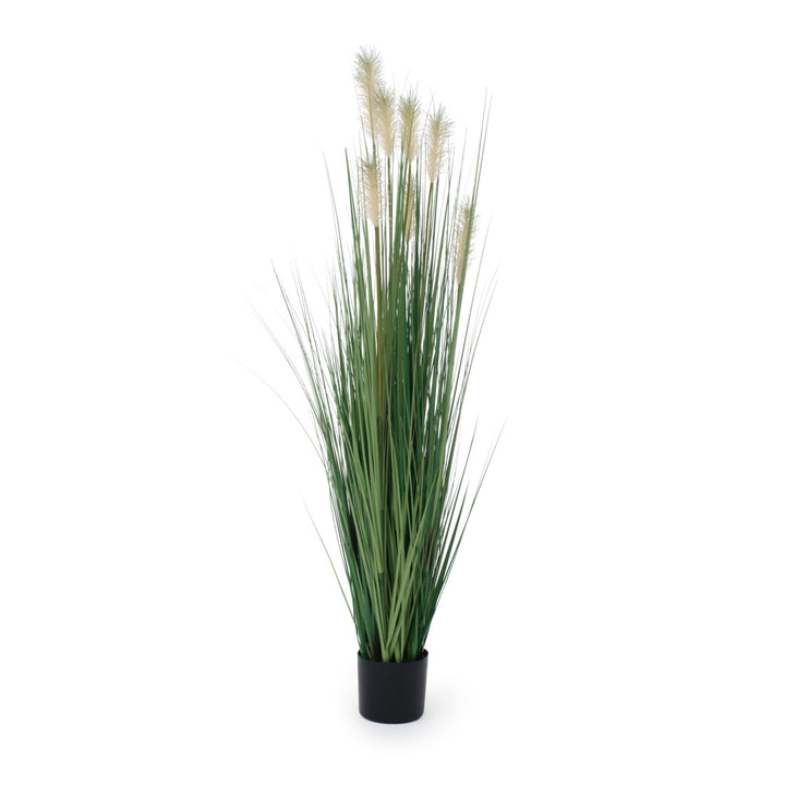 Pampas Grass Artificial Plant Dark Green