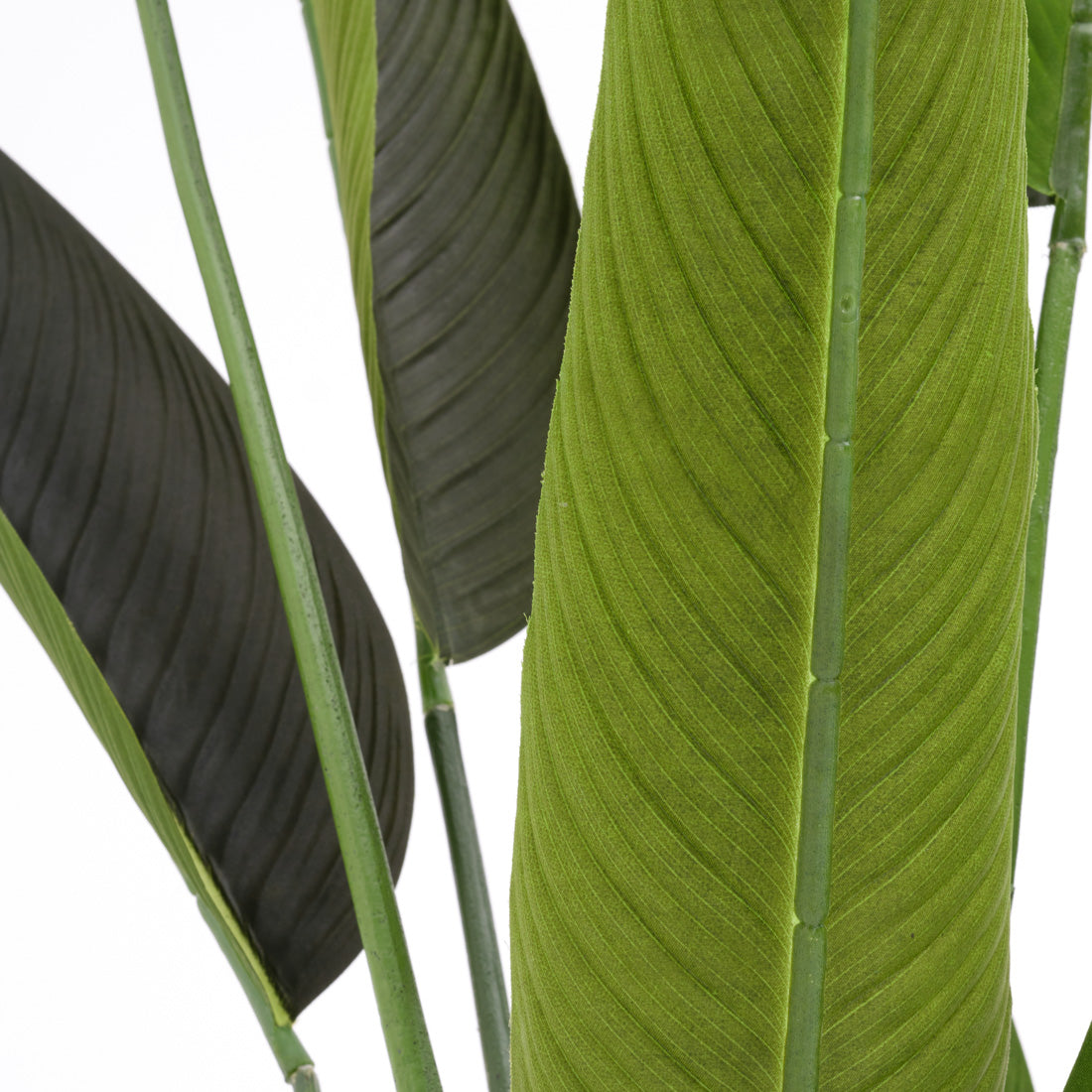 Tropical Bird Artificial Plant Dark Green