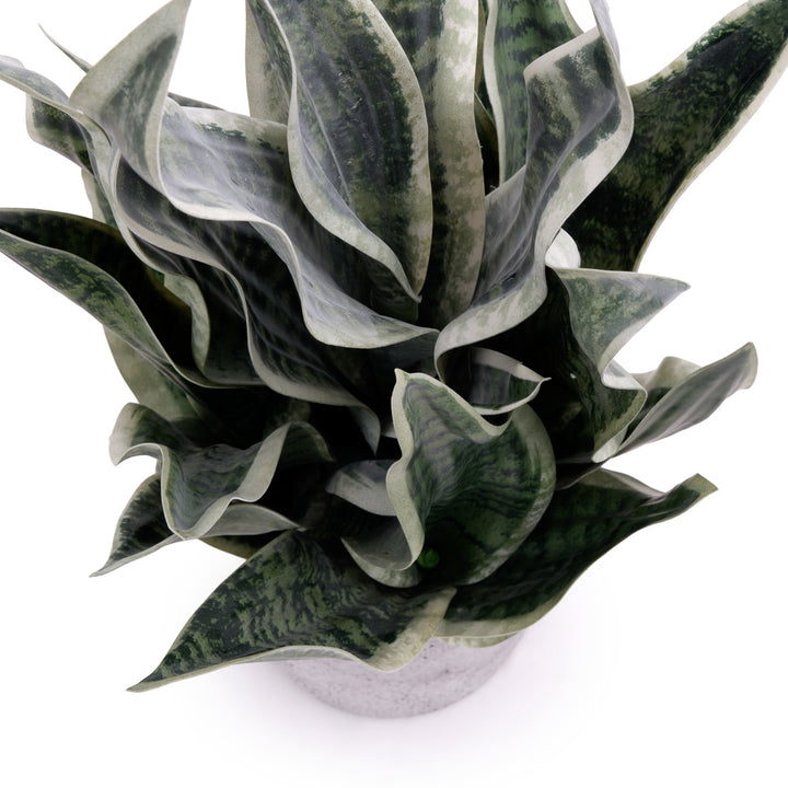 Sansevieria Artificial Plant Dark Green