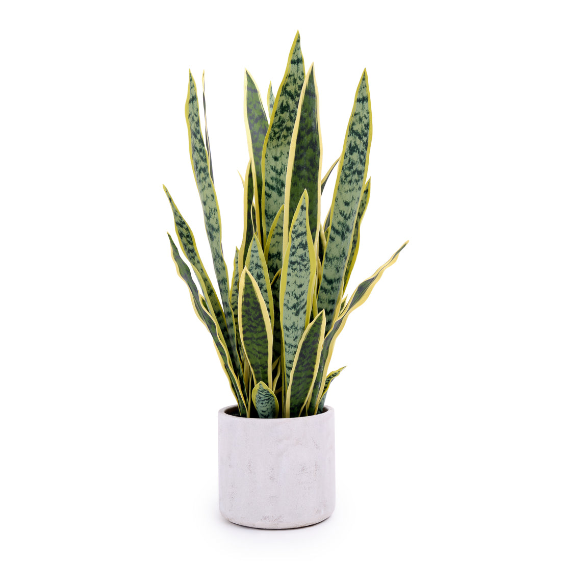Sansevieria Artificial Plant Dark Green