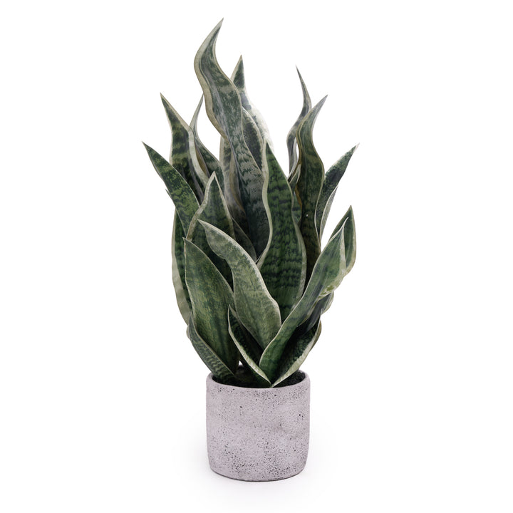 Sansevieria Artificial Plant Dark Green
