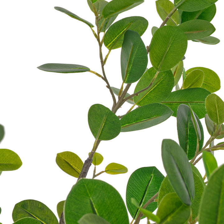 Eva Ficus Artificial Plant Dark Green