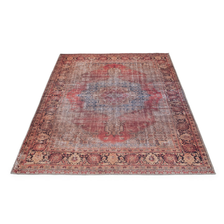Nanpur Area Rug Orange