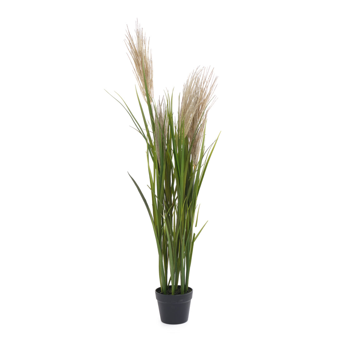Pampas Grass Artificial Plant Dark Green