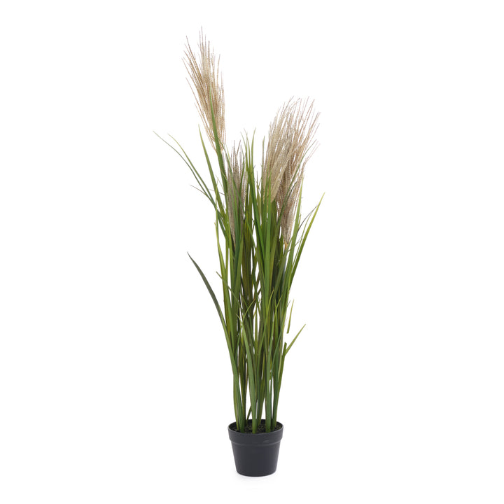 Pampas Grass Artificial Plant Dark Green