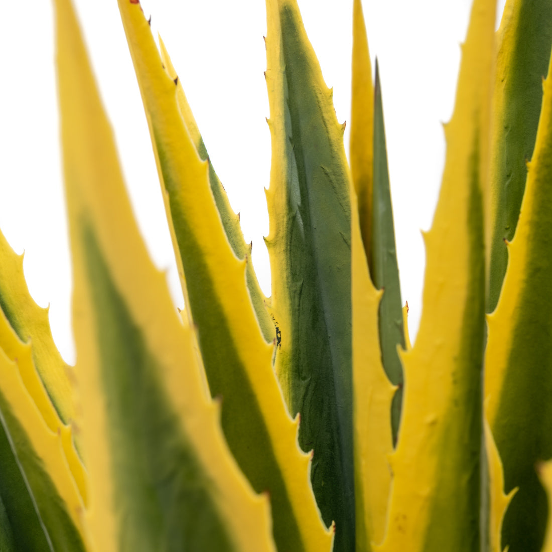 Agave Artificial Plant Dark Green
