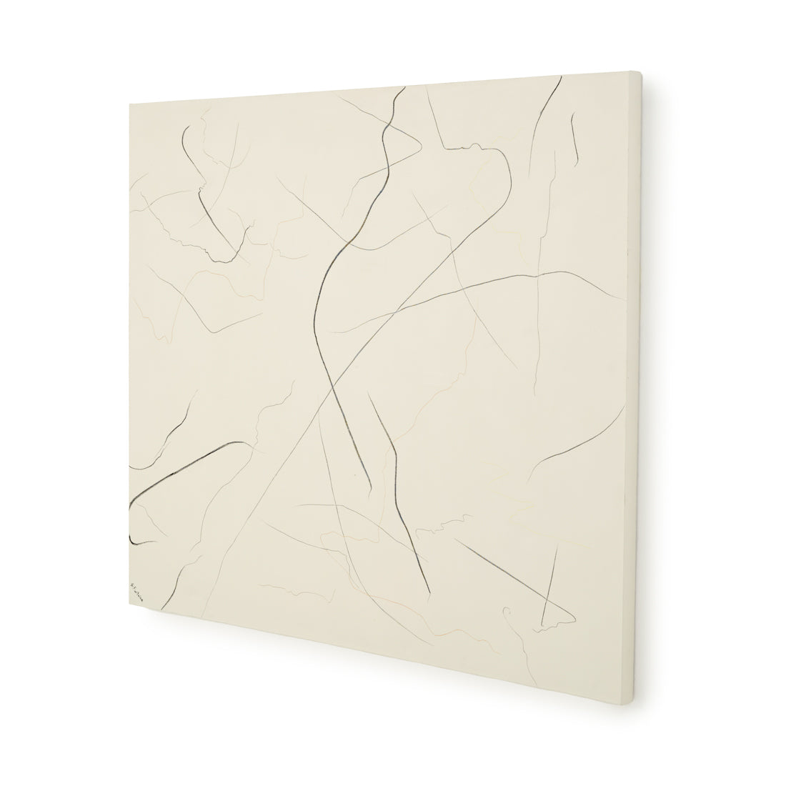Natura Painting on Canvas Beige