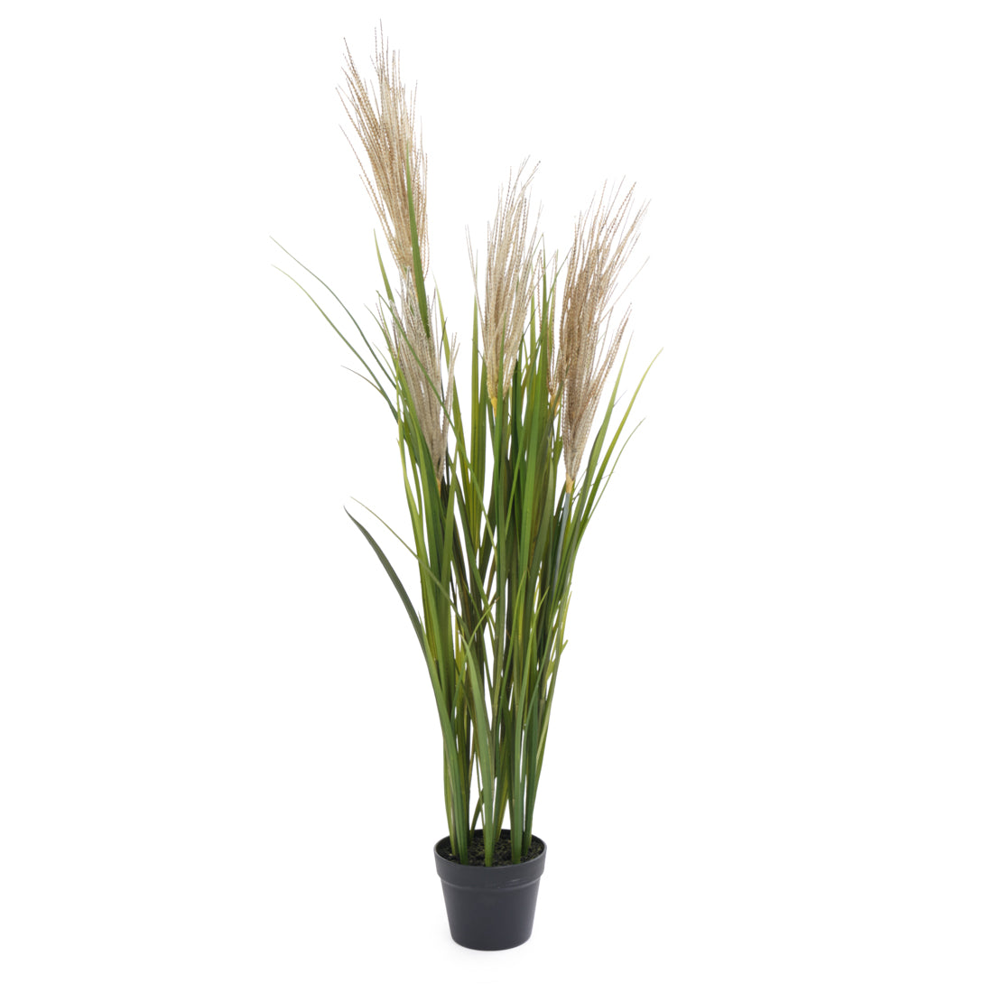 Pampas Grass Artificial Plant Dark Green