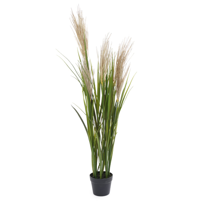 Pampas Grass Artificial Plant Dark Green