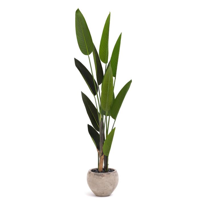 Tropical Bird Artificial Plant Dark Green
