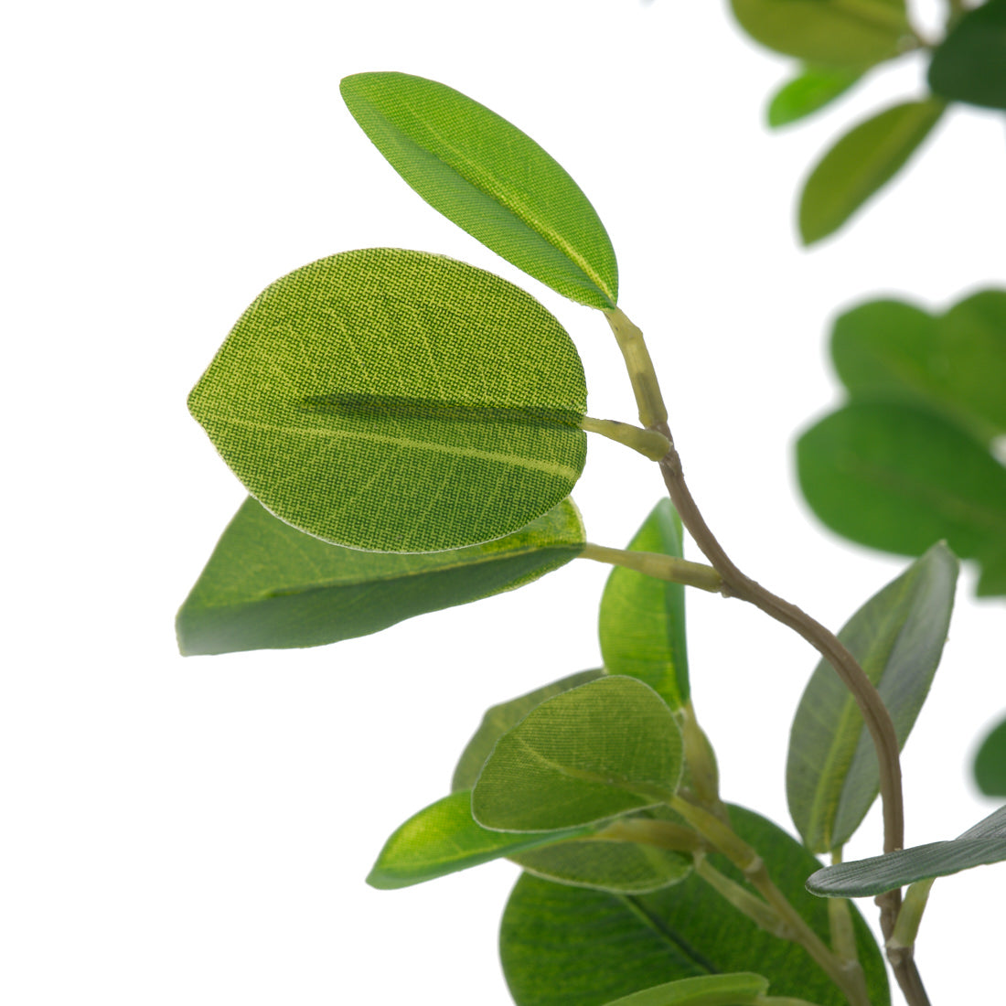 Eva Ficus Artificial Plant Dark Green