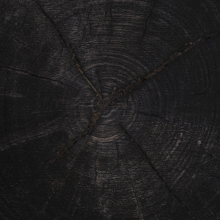 Niran Wood Coffee Table Black