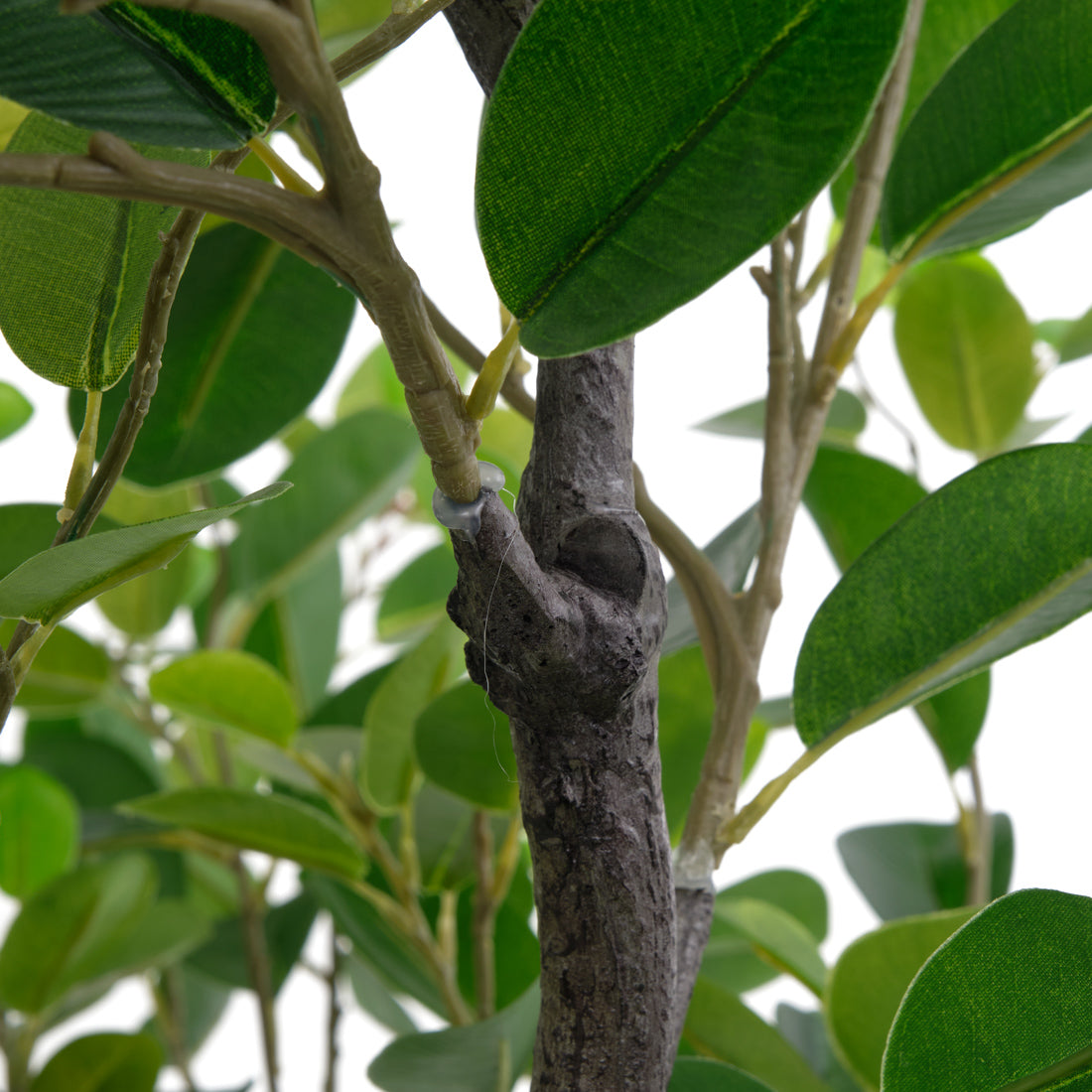 Eva Ficus Artificial Plant Dark Green