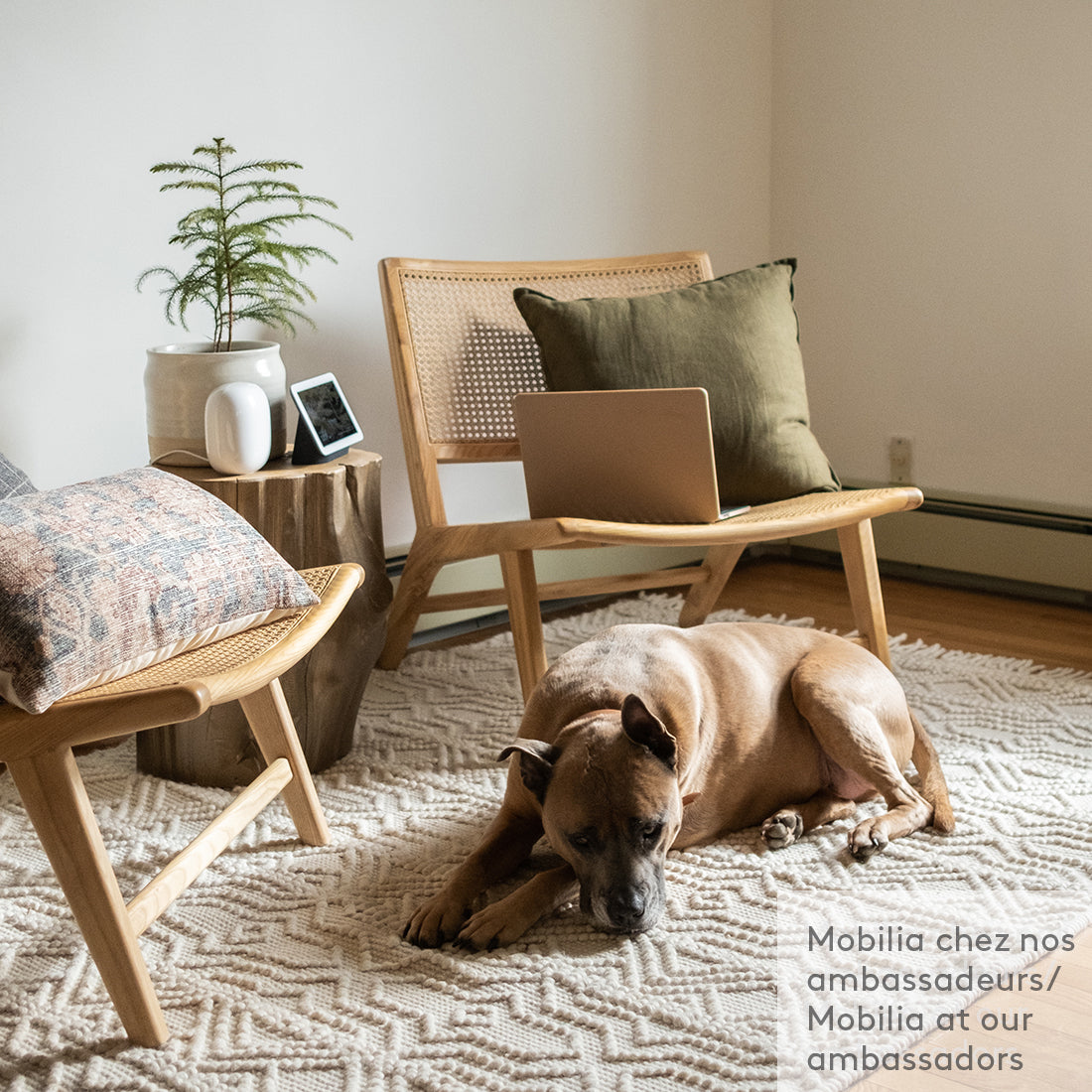Norah Accent Chair Light Brown