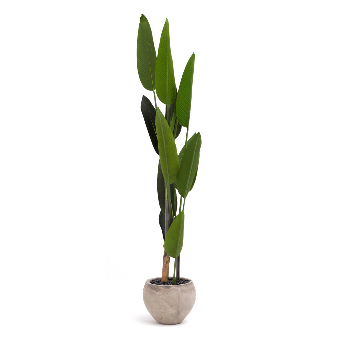 Tropical Bird Artificial Plant Dark Green