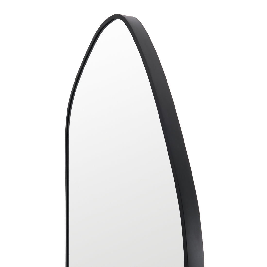 Evisa Floor Mirror Black