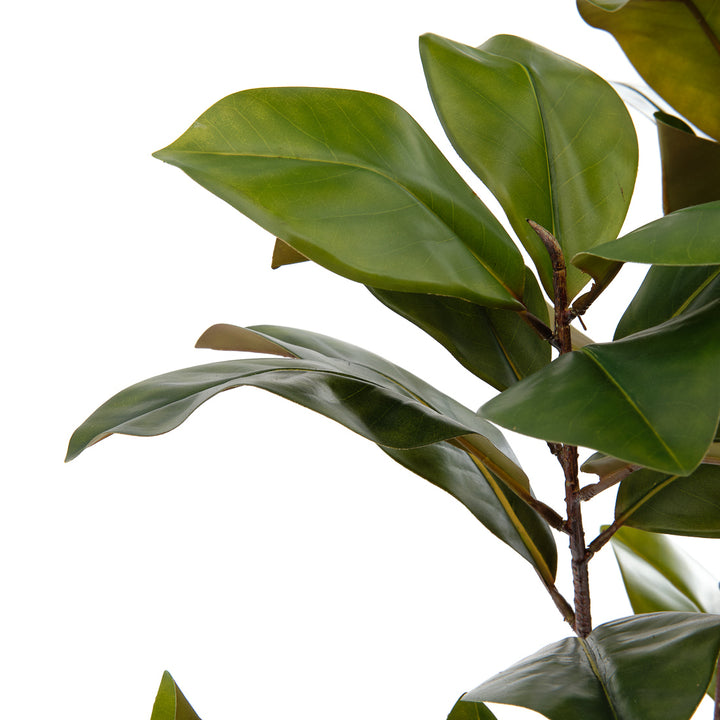 Magnolia Tree Artificial Plant Dark Green