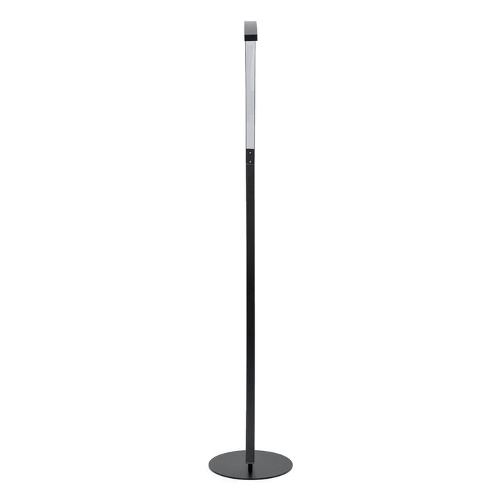 Wasol Floor Lamp Black