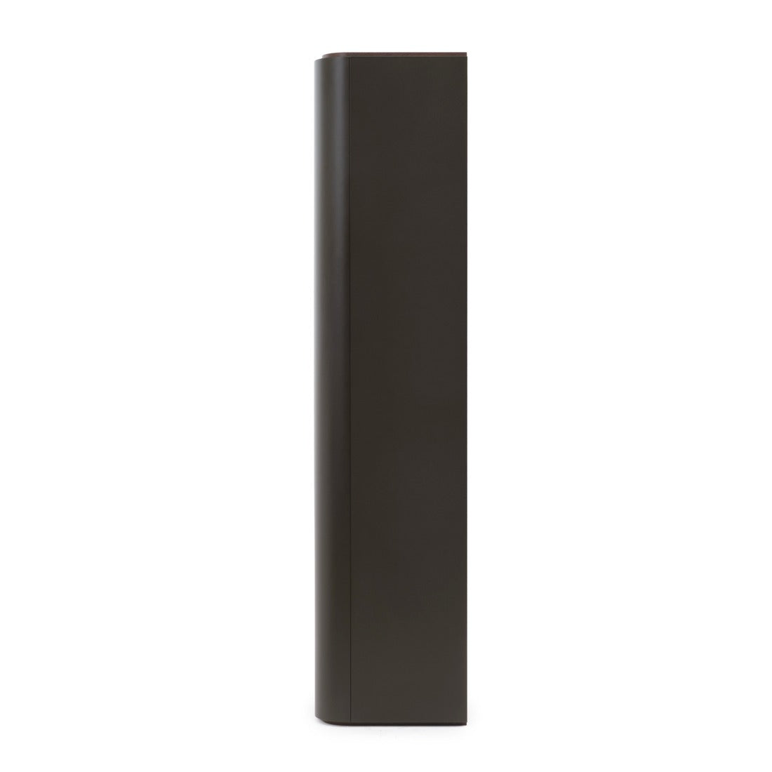 Wadena Glass Curio Dark Brown
